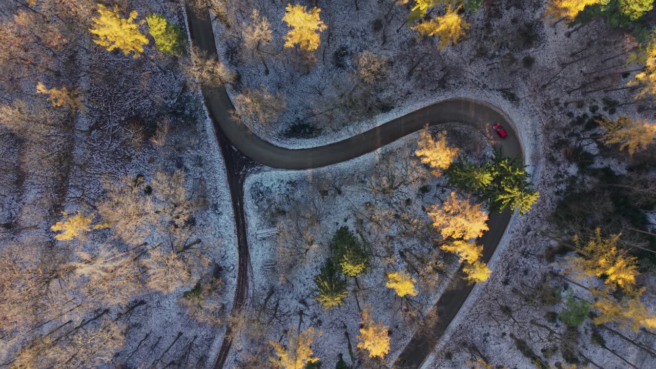 A winding road snakes through a forest captured from an aerial top-down perspective. Golden autumn trees contrast with the light frost covering the ground, while cars travel on the curved path