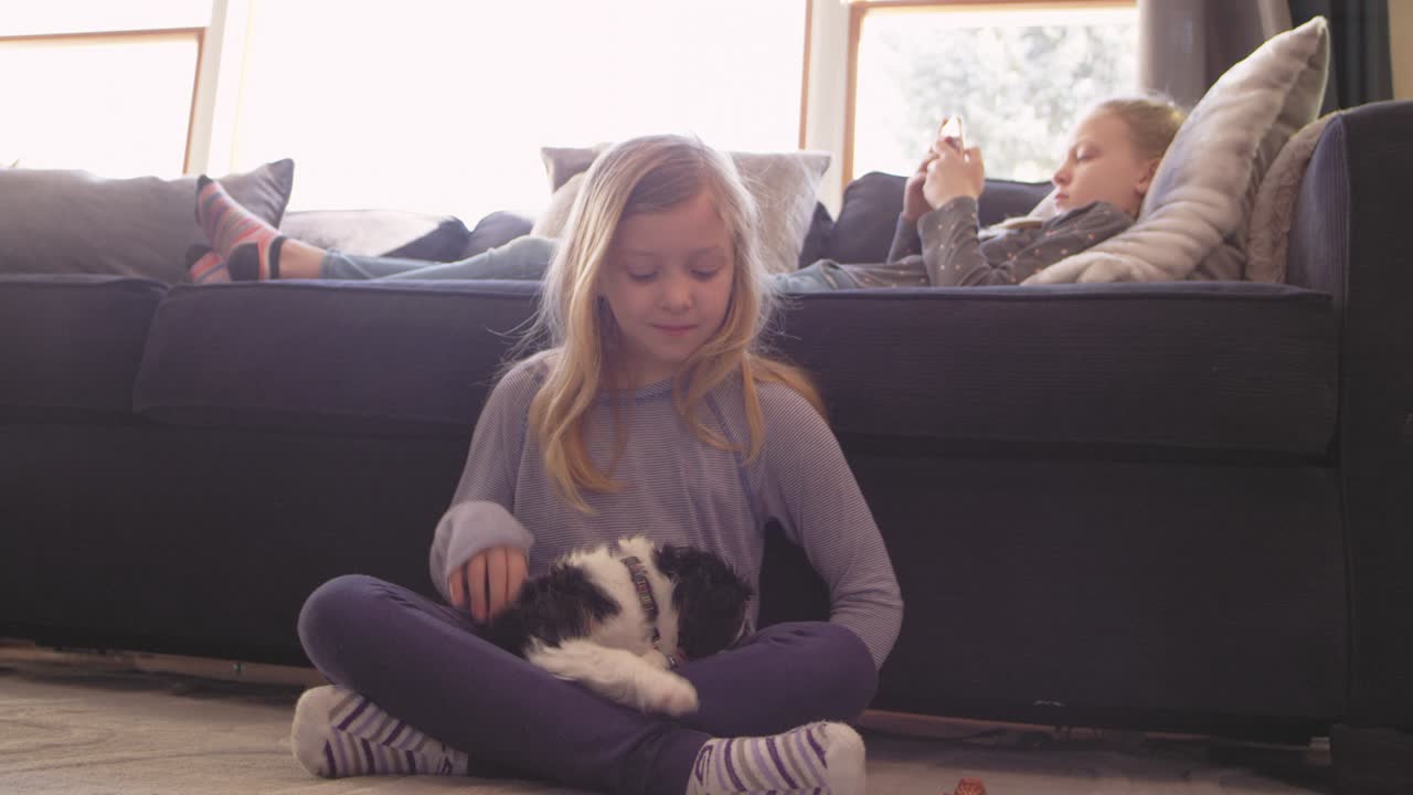 작은 소녀가 거실에서 사랑스러운 강아지를 안고 애완하고 있습니다.