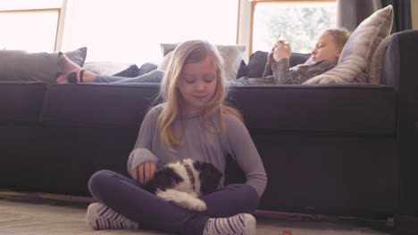 little girl holding and petting an adorable puppy in a living room.