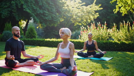 group yoga session in a park