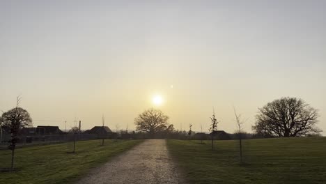 Golden-english-sunset-on-a-beautiful-evening,-trees-and-path-in-line-with-the-sun-lowering-in-the-distance