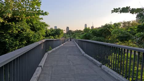 vista en primera persona caminando sobre un puente peatonal