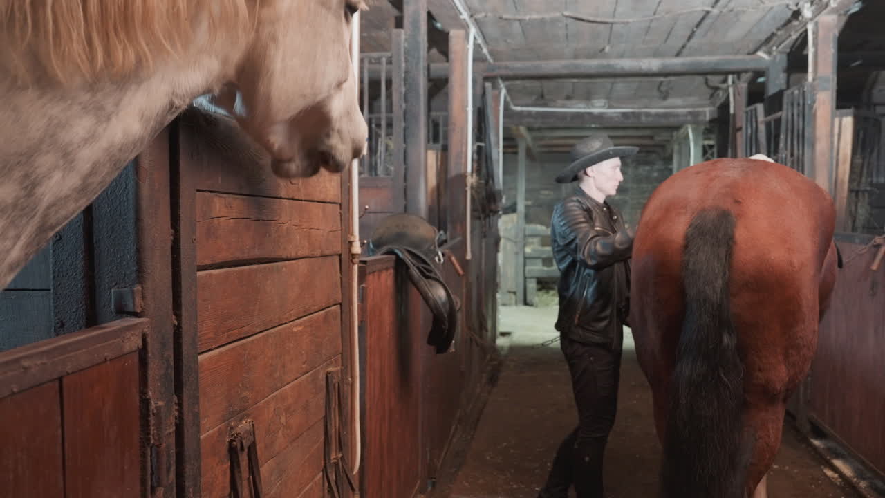White trainer stable aisle approaching horse, guiding brown mare past open stall, gentle touch along neck, warm hayscented air, muted barn light, patient instruction and tandem education moment