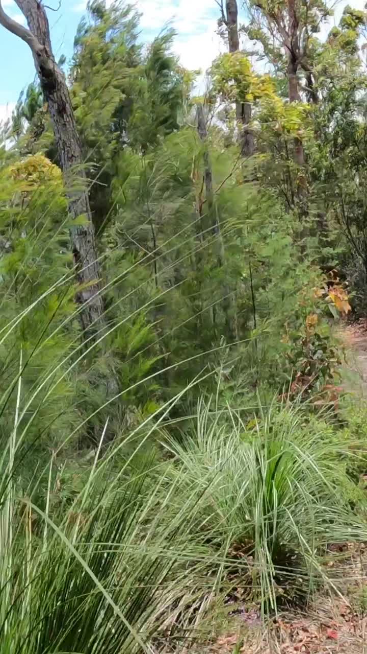 un viaje a través de un exuberante paisaje montañoso.