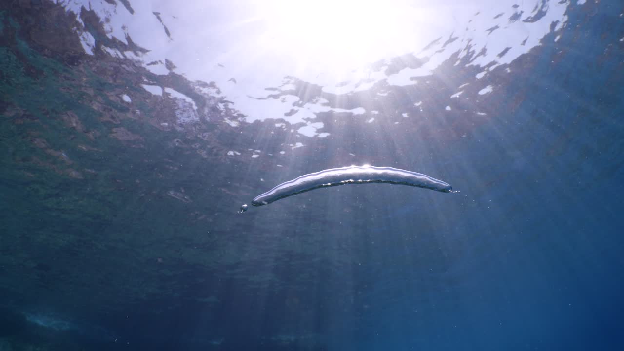 anillo de burbujas bajo el agua paisaje oceánico horizontal de burbullas para texturas de fondo
