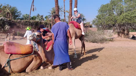 tourists finishing their camel ride under clear skies with palm trees in a desert area in marrakech