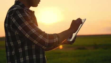 close up of farmer using digital tablet on organic farm at sunset. high quality 4k footage