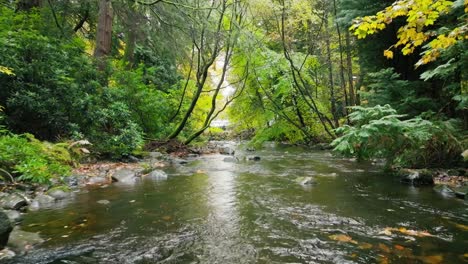 beautiful river flowing downstream, aerial camera following water down the river