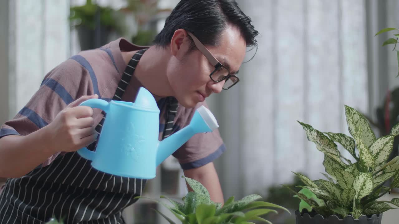 집 에 있는 식물 들 에게 물 을 주기 위해 물병 을 들고 있는 아시아인 의 근접 사진