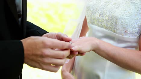 Novia-Y-Novio-Intercambiando-Anillos-De-Boda