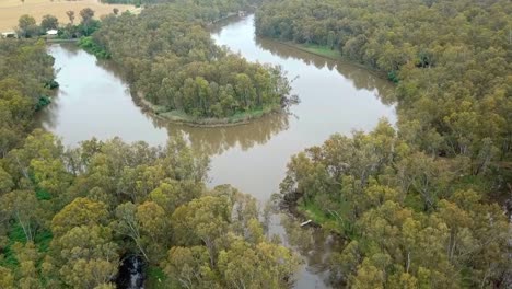Aerial-footage-of-the-meandering-Murray-River-and-flood-plains-in-eucalypt-forest-south-of-Corowa,-Australia
