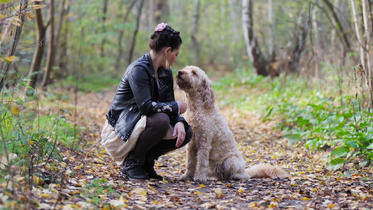 Goldendoodle kissing and licking woman in the woods while sitting
