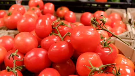 tomatoes in the supermarket, slow motion camera, 240 fps