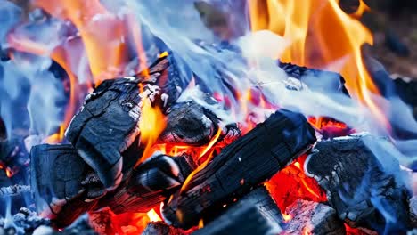 a close up of a fire burning in a campfire