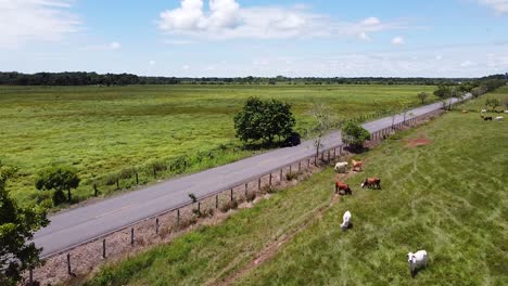 Landscape-with-the-road-perfect-travel-Dron-flies