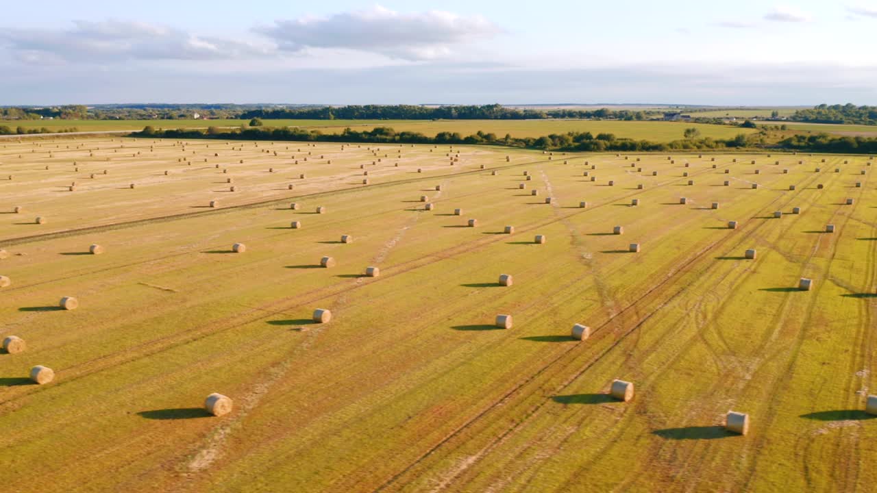Shooting from a quadcopter flying over the golden field with roll bales of wheat straw.