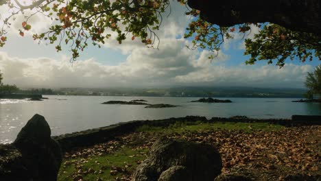 alcanzando su punto máximo a través de los árboles koa de hawaii en hilo bay