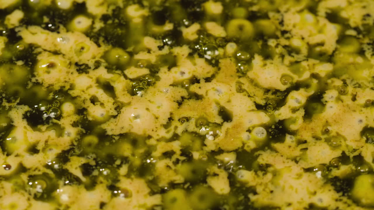 Close-up of Mold Texture