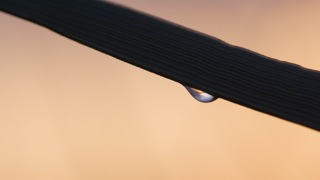 Close-up of a single dew drop hanging from wide grass blade against blurred sunset