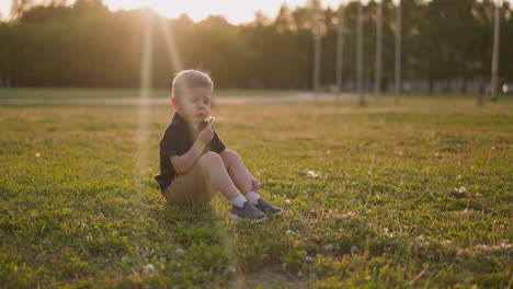 adorable little boy blows dandelion blow-ball on grass