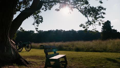 Sliding-Shot-of-bench-Tree-fields-grass-sun-in-the-afternoon