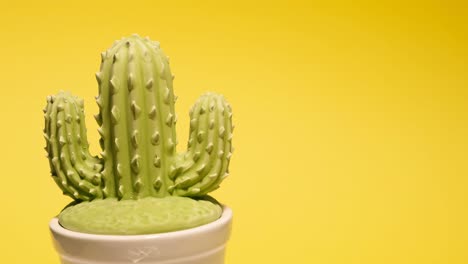 beautiful cactus on a bright yellow background beautiful cactus on a bright yellow background rotation of the pot in a circle place for text video