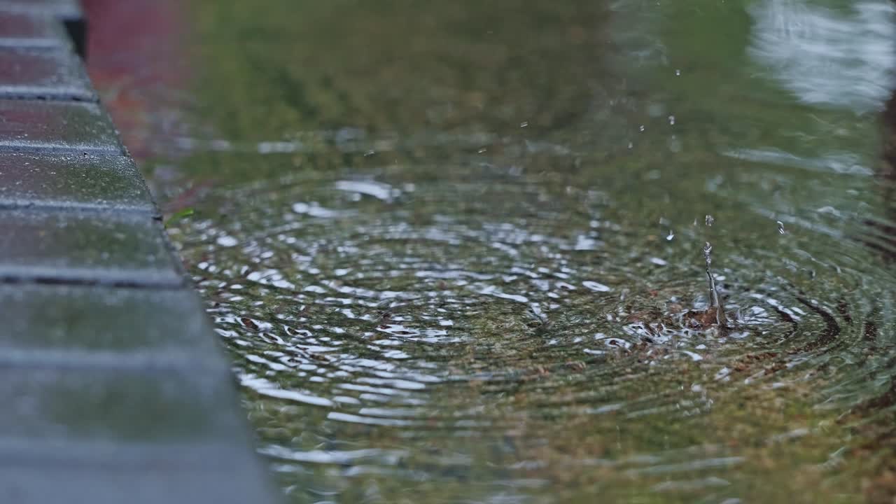 Slow motion shot of rainwater dripping rhythmically and forming ripples