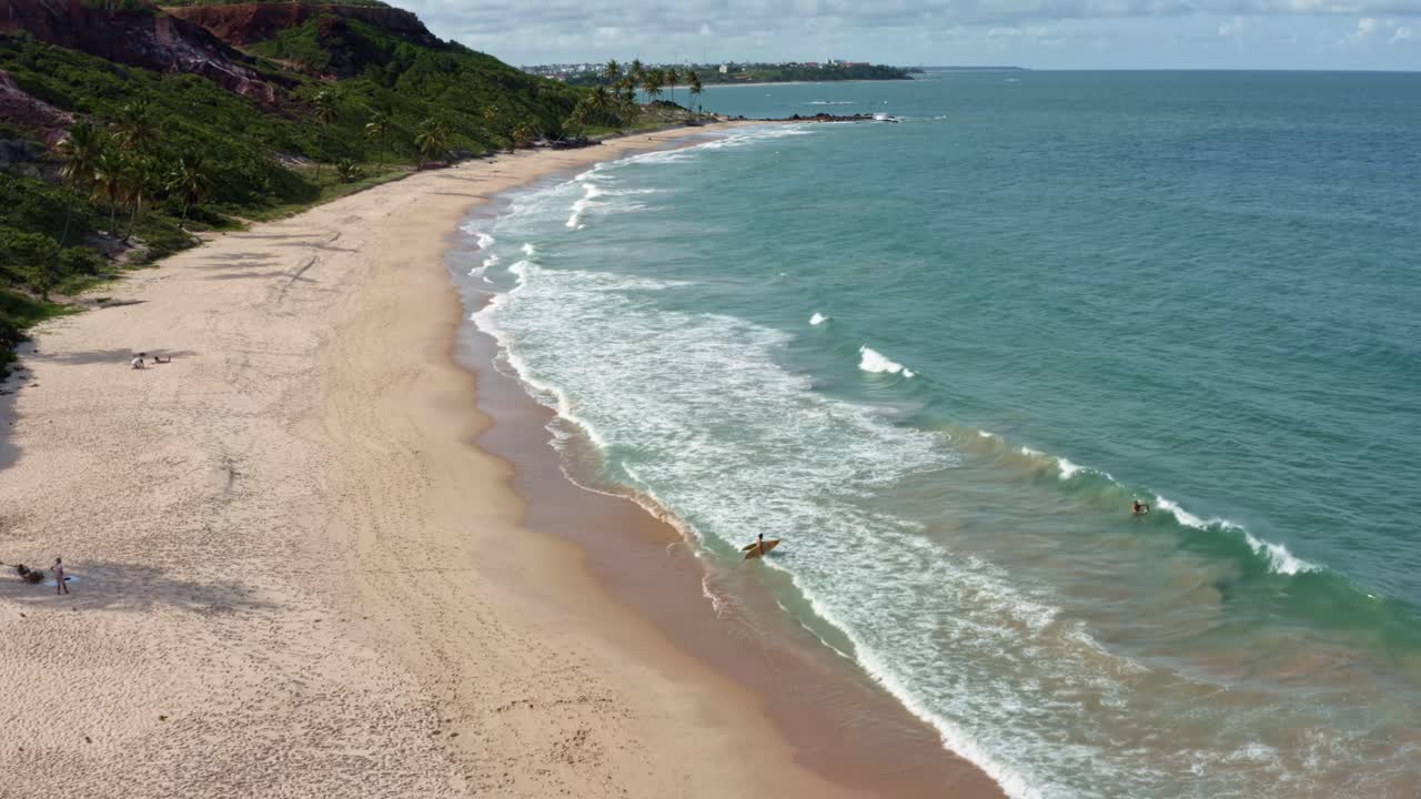 Aerial drone wide shot of a surfer walking into the ocean with their board on the famous Coqueirinhos beach with peaceful waves, palm trees, tall cliffs, golden sand, and clear crystal ocean water