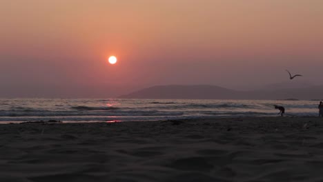 Sonnenuntergang-über-Einer-Inselsilhouette-Und-Ruhigem-Rauschendem-Ozean-An-Einem-Sandstrand,-Während-Am-Pismo-Beach,-Kalifornien,-Eine-Möwe-Herumfliegt