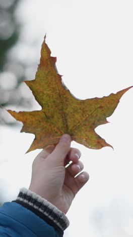 primer plano de una mano sosteniendo una hoja seca y oxidada, observándola pensativamente, rodeada de vegetación vibrante con la luz del sol filtrándose a través de los árboles