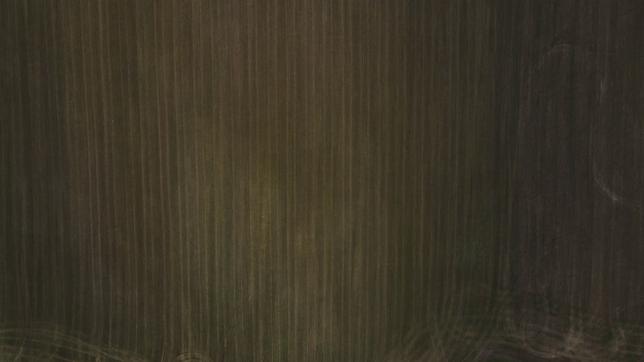 들판의 마을 길을 날아