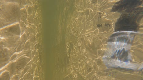 buceo en la cascada de mariquinha, parque nacional de campos gerais, brasil, video vertical