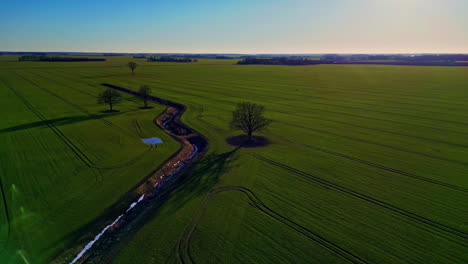 Cultivos-De-Primavera-Verdes-Que-Crecen-En-Un-Campo-Interminable-De-Tierras-De-Cultivo-Con-Una-Acequia---Aérea