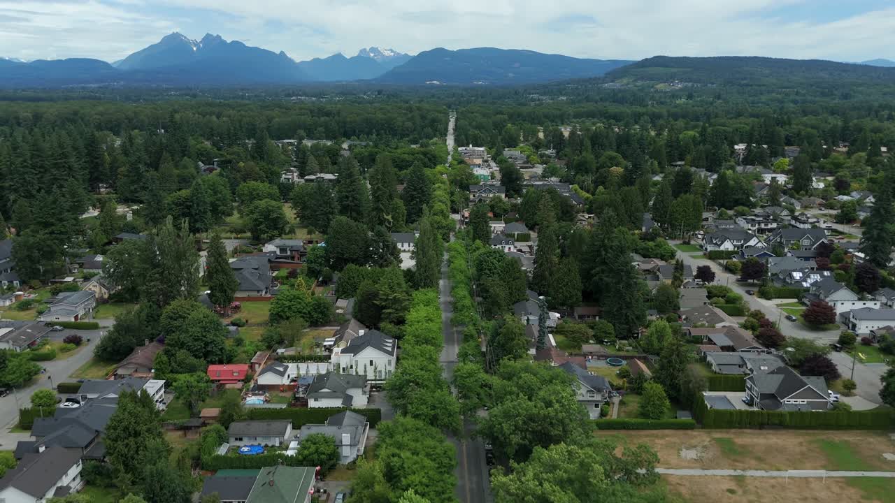 Green Trees Along The Road In Fort Langley Village In Langley Township, BC, Canada. - aerial shot
