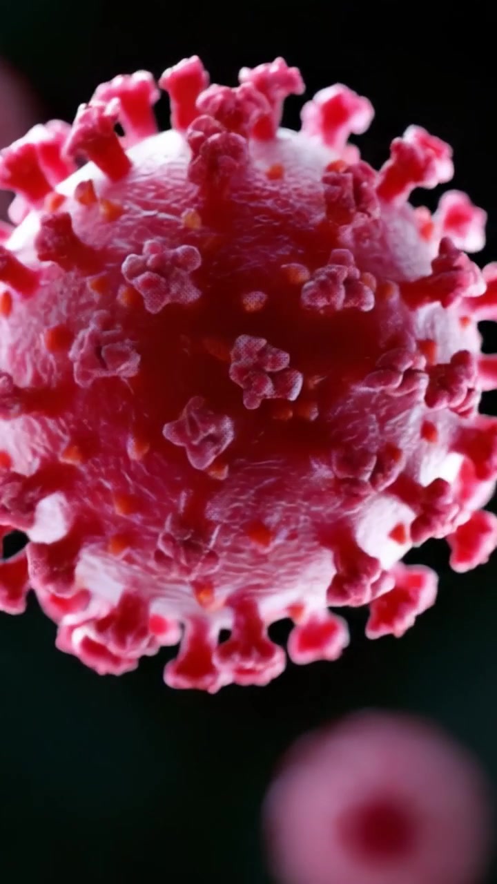 Uno sguardo ravvicinato a un'entità virale: esplorando la struttura intricata e le caratteristiche di un virus in condizioni microbiche in un ambiente dinamico.