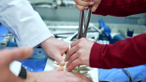 Female hands in red sweater hold and press on the modern medical tool. Educator's hands support the dummy of a spine for a student to practice. Neurosurgery study practice.