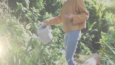 spot of light against caucasian woman watering plants in the garden