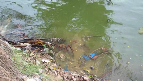 orilla contaminada del río