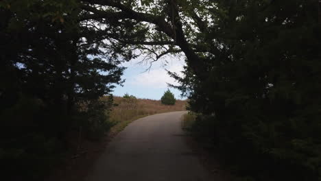 flight drone view under the trees on the road