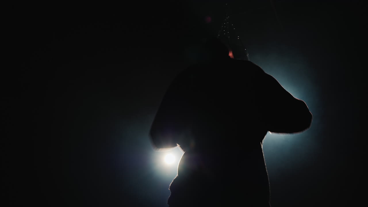 trinidad de silueta de luchador en el gimnasio - golpea una pera de boxeo