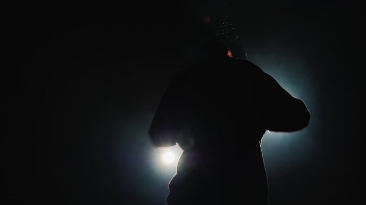 Silhouette di un combattente Trinity in palestra - colpisce un sacco da boxe.
