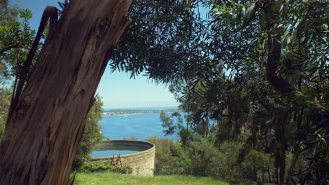 tree footage close to the sea