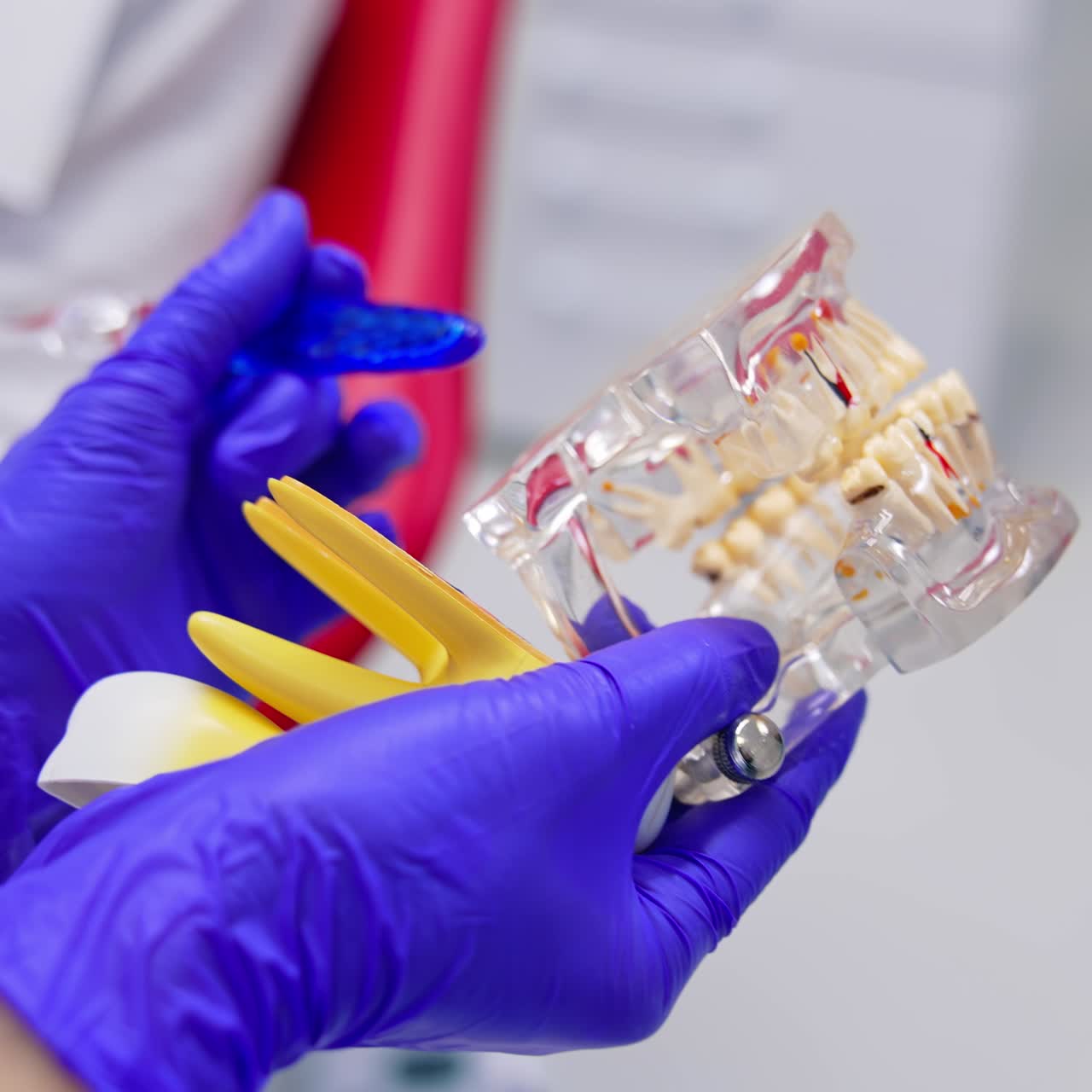 Jaw mock in dentist's hands. Plastic artificial teeth in hands of stomatologist in hospital. Close-up. Toothache prevention