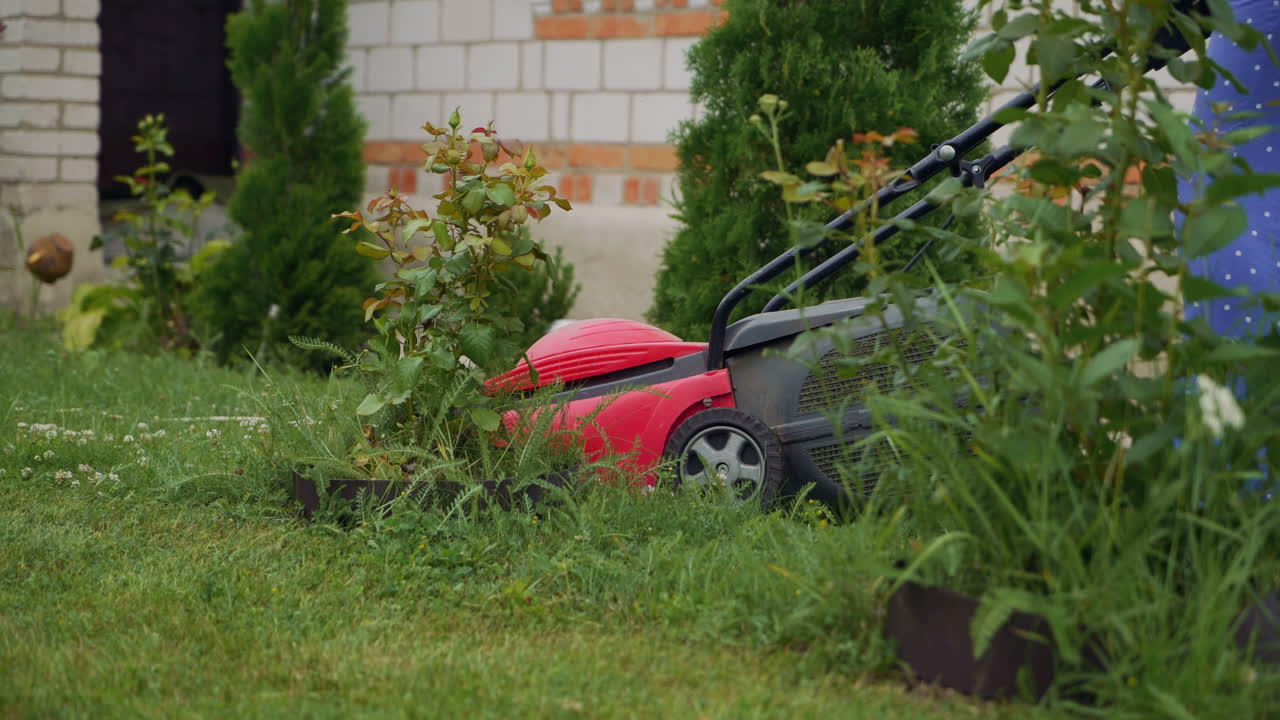 a woman is mowing the grass with a lawn mower near the house on the bckground of decorative trees in the yard