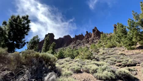 which is the prettiest part of tenerife