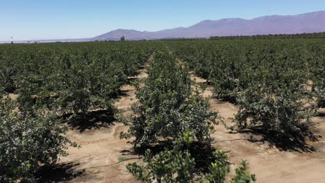 Vorwärtsbewegungsvideo-Eines-Sonnigen-Palm-Springs,-Kalifornien,-In-Der-Nähe-Von-Los-Angeles,-Mit-Bergen-In-Der-Ferne