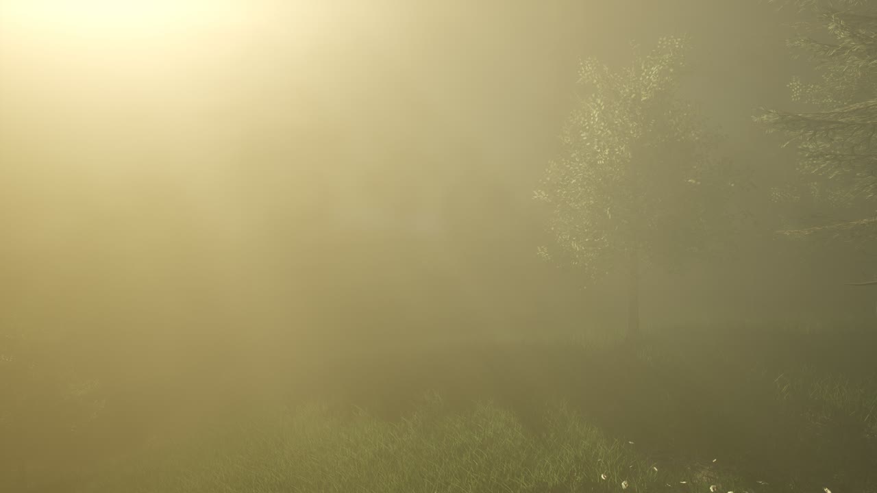 반 ⁇ 이는 마법의 숲