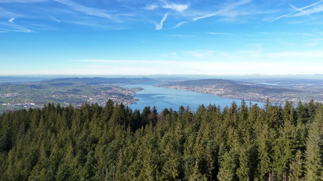 하늘에서 보이는 상록 숲, 스위스의 취리히 호수, 경이로운 자연