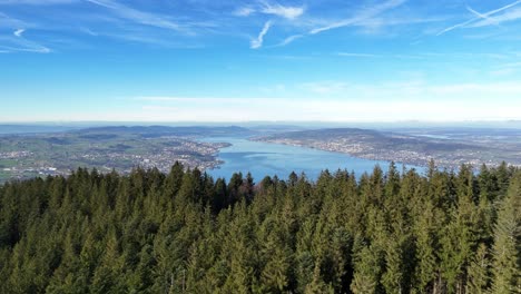 aerial evergreen forest zurich lake in switzerland in wonderful nature reveal