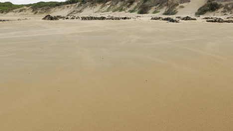 strong wind blowing sand around on a golden beach setting